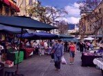 TLV market
