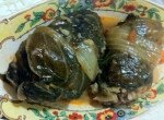 yabrak home