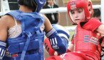 champs muay thai