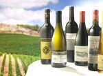 vins